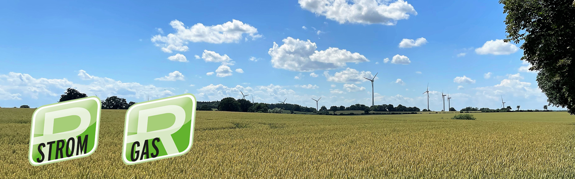 Raiffeisen-Strom, Raiffeisen-Gas, LEV, Windkraft